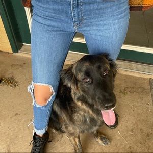 SOLD 🌞 Levi high rise/skinny jeans